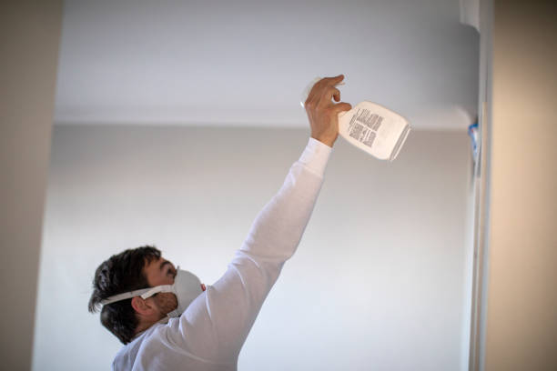 Best Emergency Mold Removal  in Taunton, MA