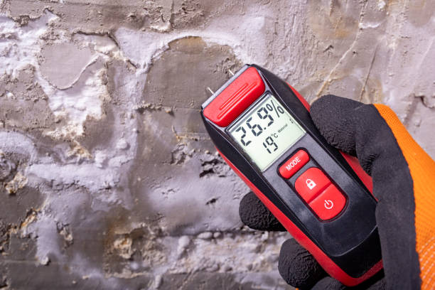 Best Mold Testing and Removal  in Taunton, MA