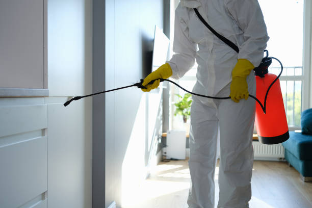 Best Mold Testing  in Taunton, MA